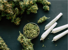 Bremer Senat beschließt Verordnung zur Cannabiszuständigkeit